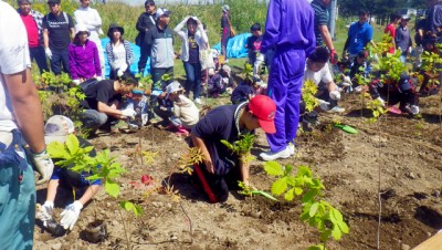  町を挙げて開催。小さな子供たちも自分の手で植えました