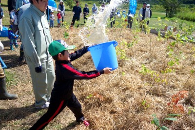  植えた苗木を干し草で覆い、たっぷりの水を与えます。子供たちはバケツを使ってどこまで水を飛ばせるかを楽しみながら競いました