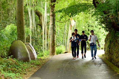  林道コースを散策中。森林浴にもなりますね