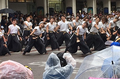 大人数でエキサイティングなよさこいを披露した早稲田大学の学生チーム。雨にも関らず、市内は演舞者と観客の熱気であふれました