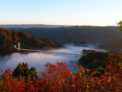 竜神峡紅葉まつりの頃の紅葉。11月13日（日）茨城県民の日は、竜神大吊橋の橋渡料が無料です！