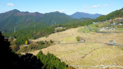  丸山千枚田：名前は千枚田ですが、1340枚あるそうです。 現在は、稲作体験など数多くのイベントが開催されています