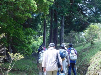 きつい勾配の階段を上がって調査に向かいます