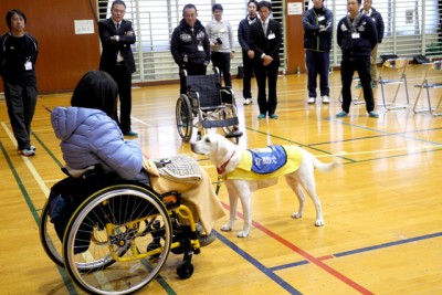 介助犬のサポート方法を実演