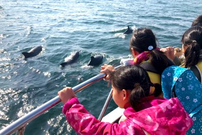 船のデッキからイルカの群れを眺める子供たち