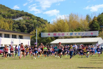 県内外から576人が参加した「2018 桜街道・夢マラソン」。スタートの様子