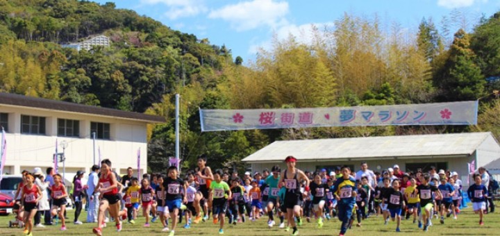 県内外から576人が参加した「2018 桜街道・夢マラソン」。スタートの様子