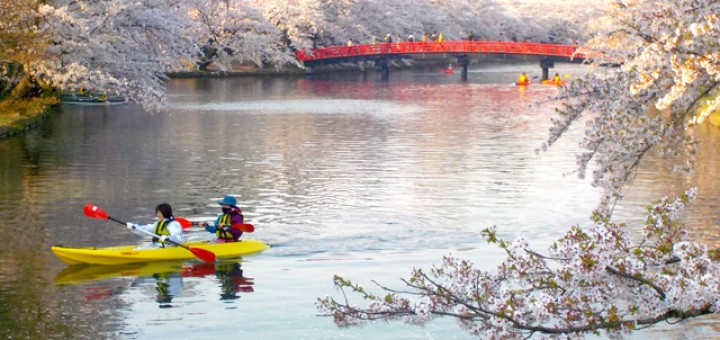 桜が満開の川にカヌーで繰り出す。赤い橋とピンクの桜、黄色いカヌーの美しいコントラスト