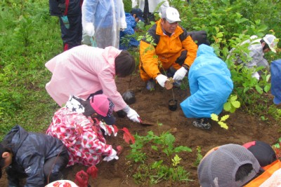 植樹の作業中