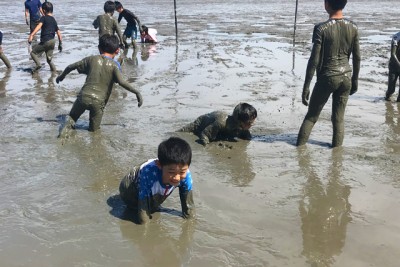 「うちの子どこかしら…泥だらけで分かりにくいなあ」