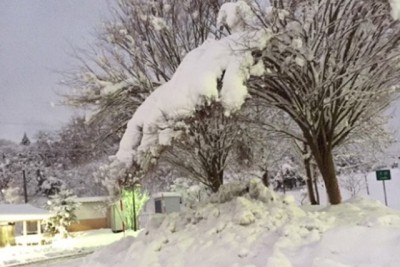 雪景色の写真