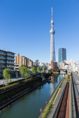 スカイツリーを目指し、カヌーで清掃活動