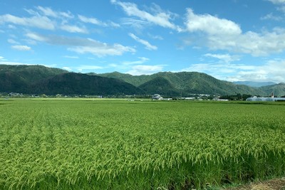 風景の画像