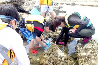 艇庫周辺にはたくさんの水生生物が生息しています