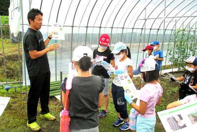 野菜農家さんからトマト栽培の説明を受けています