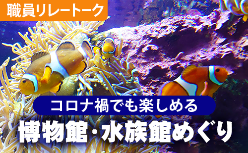 コロナ禍でも楽しめる博物館・水族館めぐり