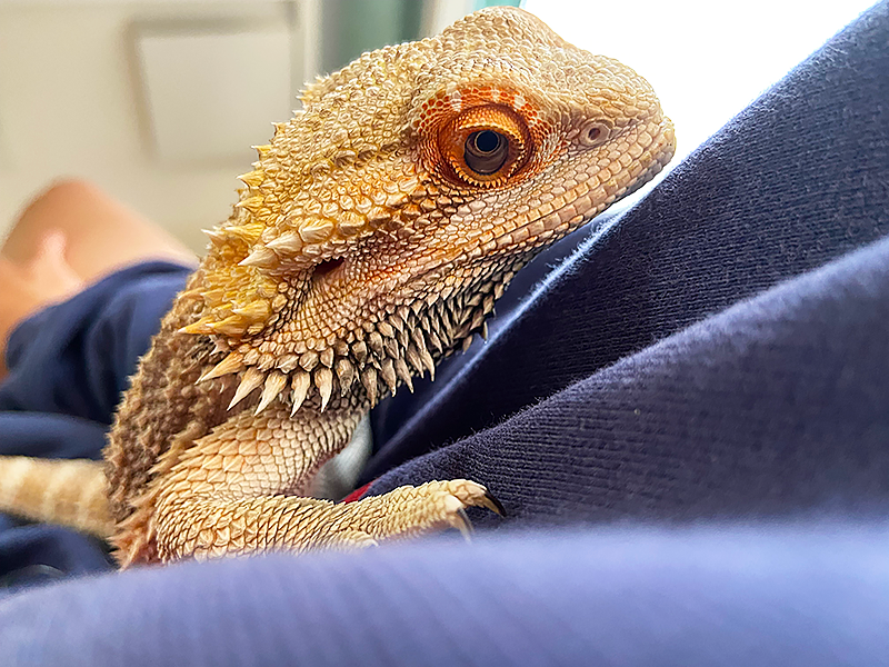 きゅるるんお目目がかわいいんです!!