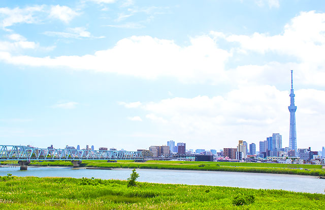 近くの河川敷や公園