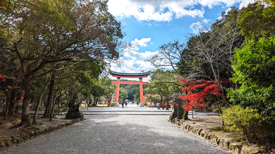 宇佐神宮（大分県宇佐市）