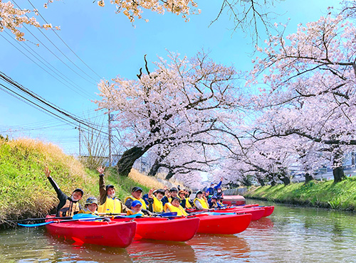 桜川でのお花見カヌー