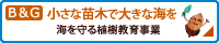 B&G「小さな苗木で大きな海を」海を守る植樹教育事業ブログ