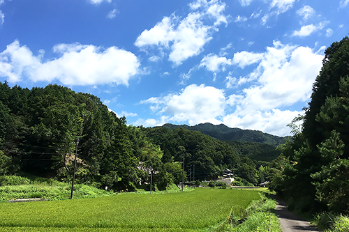 田園風景