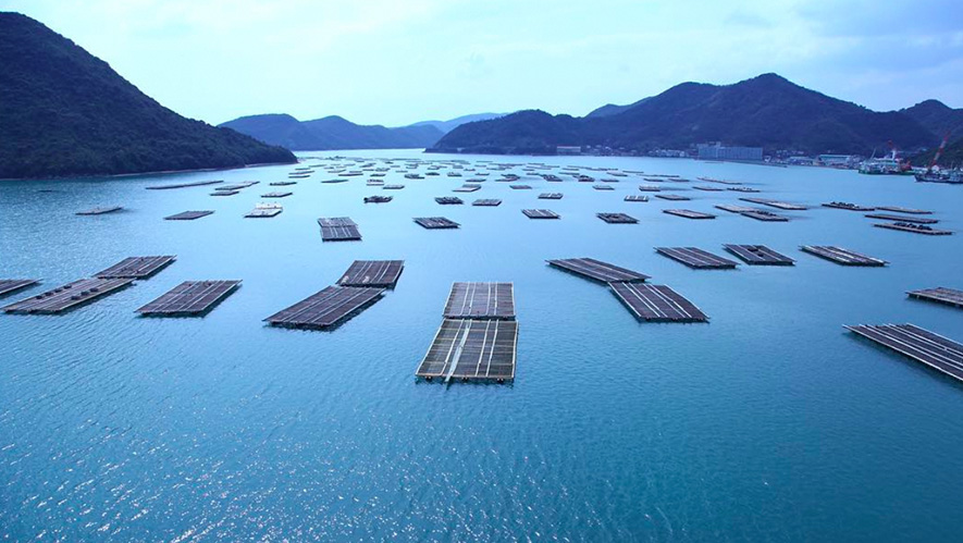 牡蠣筏が浮かぶ豊かな日生の海