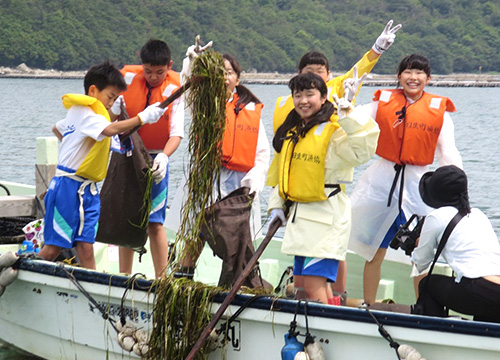 5月上旬頃、種をつけたまま漂流している流れ藻を回収します