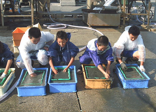 海中に保管していた袋を陸に上げ、比重選別を行い、良質の種だけを取り出します