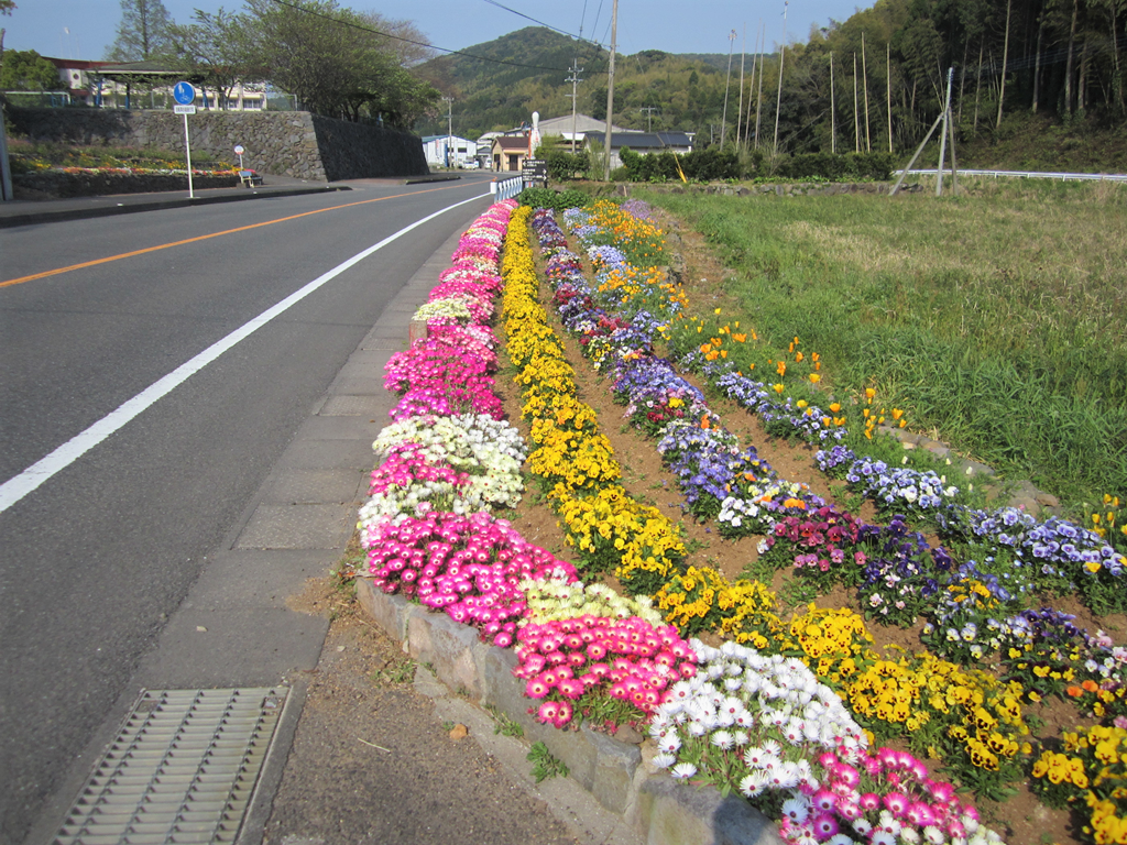 総延長14kmにも及ぶ「フラワーロード」