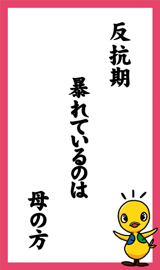 反抗期　暴れているのは　母の方