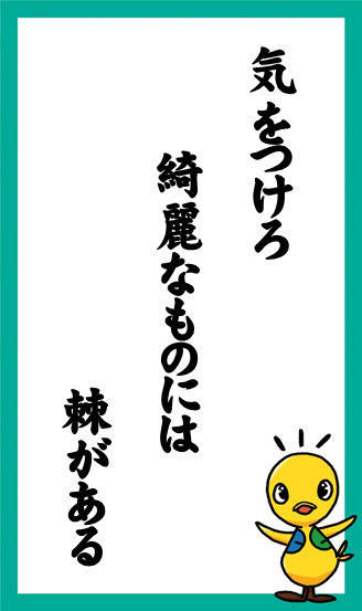 気をつけろ　綺麗なものには　棘がある