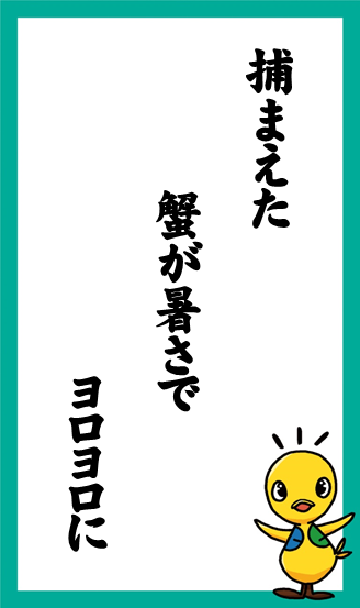 捕まえた　蟹が暑さで　ヨロヨロに