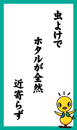 虫よけで　ホタルが全然　近寄らず