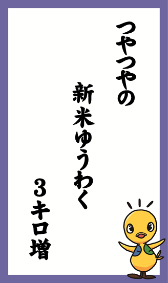 つやつやの　新米ゆうわく　3キロ増