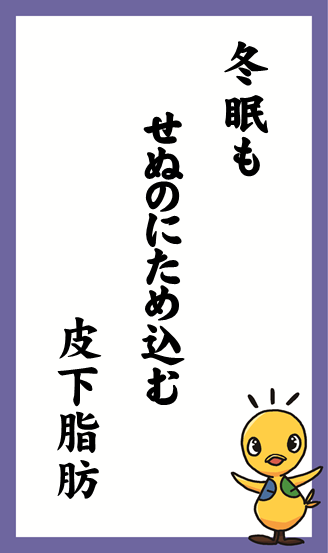 冬眠も せぬのにため込む 皮下脂肪