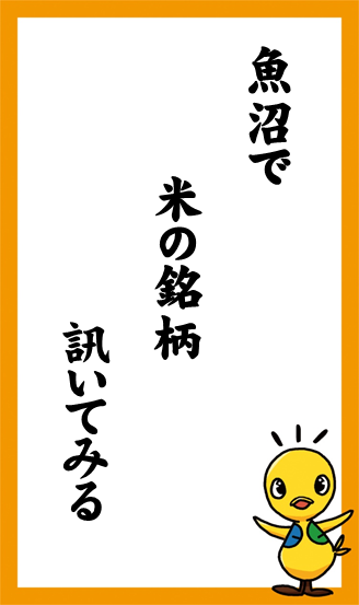 魚沼で　米の銘柄　訊いてみる