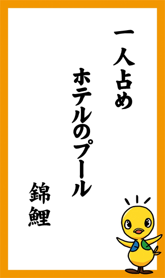 一人占め　ホテルのプール　錦鯉