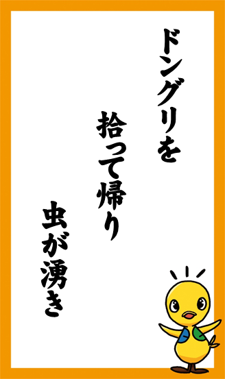 ドングリを　拾って帰り　虫が湧き