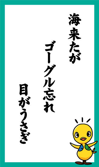 海来たが　ゴーグル忘れ　目がうさぎ