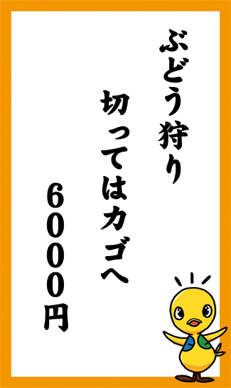 ぶどう狩り　切ってはカゴへ　６０００円