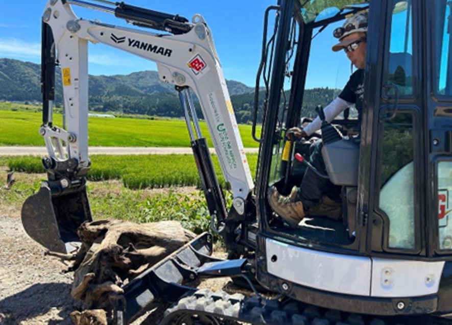 倒木の撤去作業の様子
