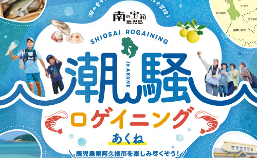 潮騒ロゲイニング