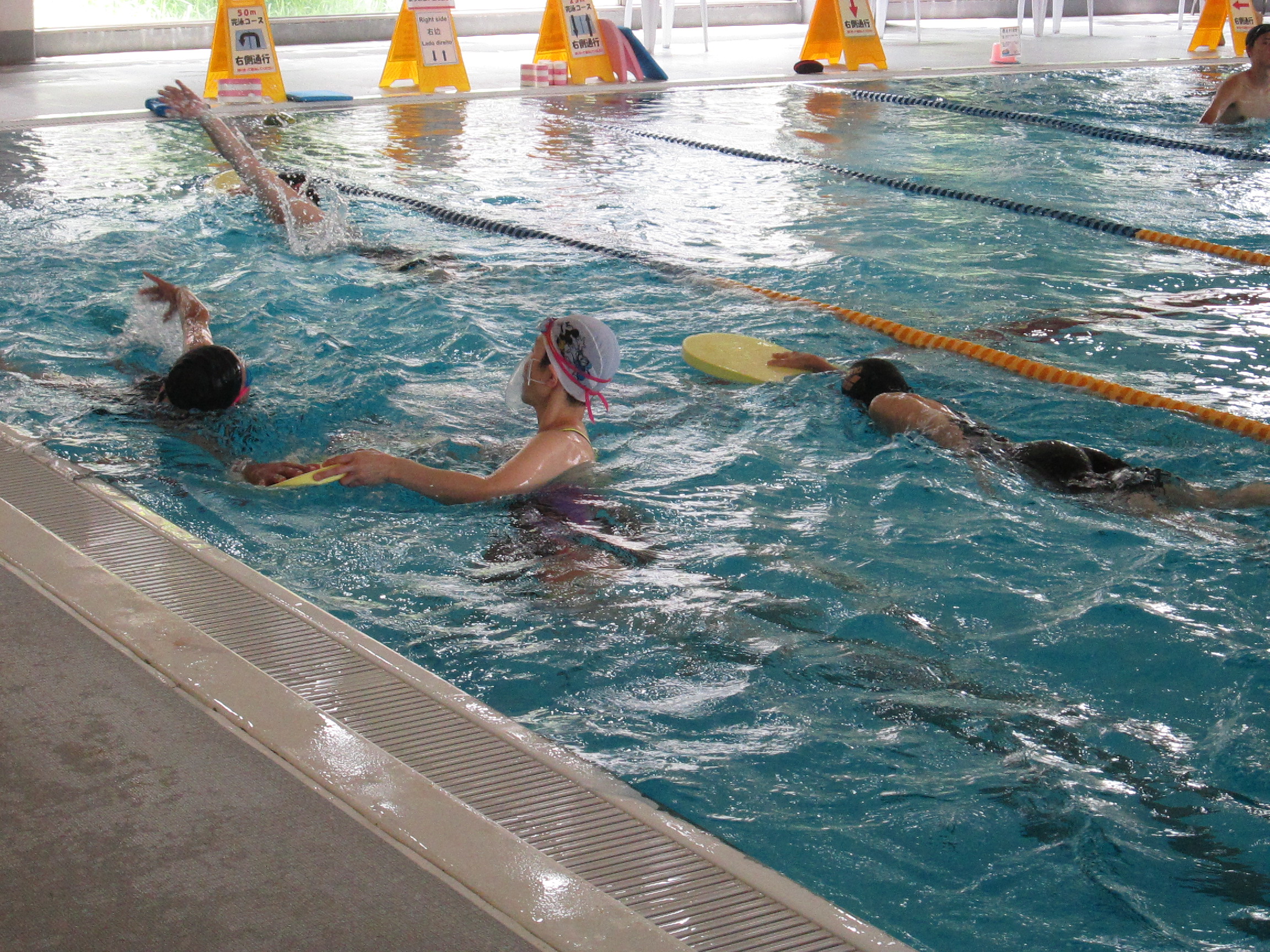 公益財団法人ブルーシー アンド グリーンランド財団 施設やイベントを探す イベントを探す