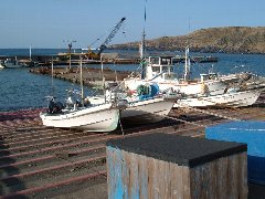Ｂ＆Ｇ三宅島海洋クラブ